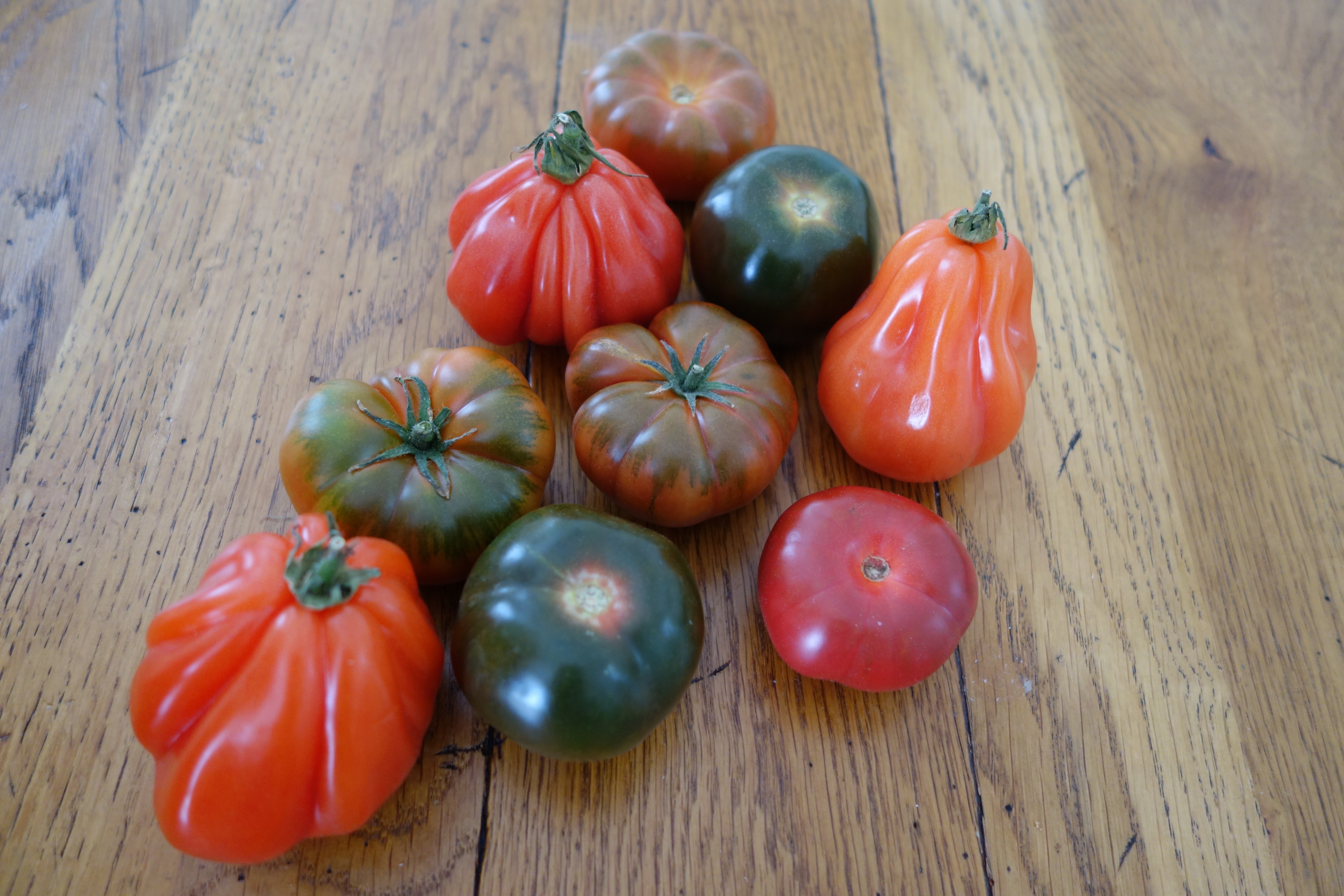 Different Tomato Varieties